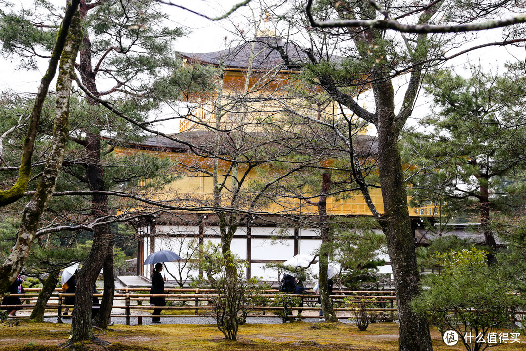 京都 远离现代喧嚣的宁静故都