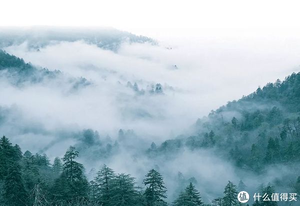 无敌海景+三面环山！爬山赏樱承包全家早晚餐！宁波春晓世茂希尔顿逸林酒店2晚度假套餐