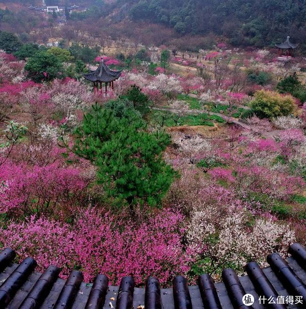 无敌海景+三面环山！爬山赏樱承包全家早晚餐！宁波春晓世茂希尔顿逸林酒店2晚度假套餐