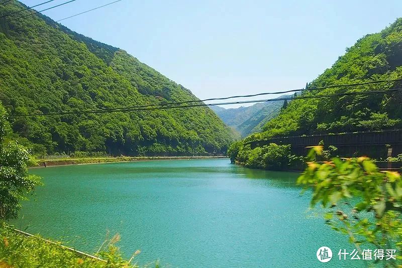 一张票畅游九州，火遍ins的小火车旅行又浪漫又省钱