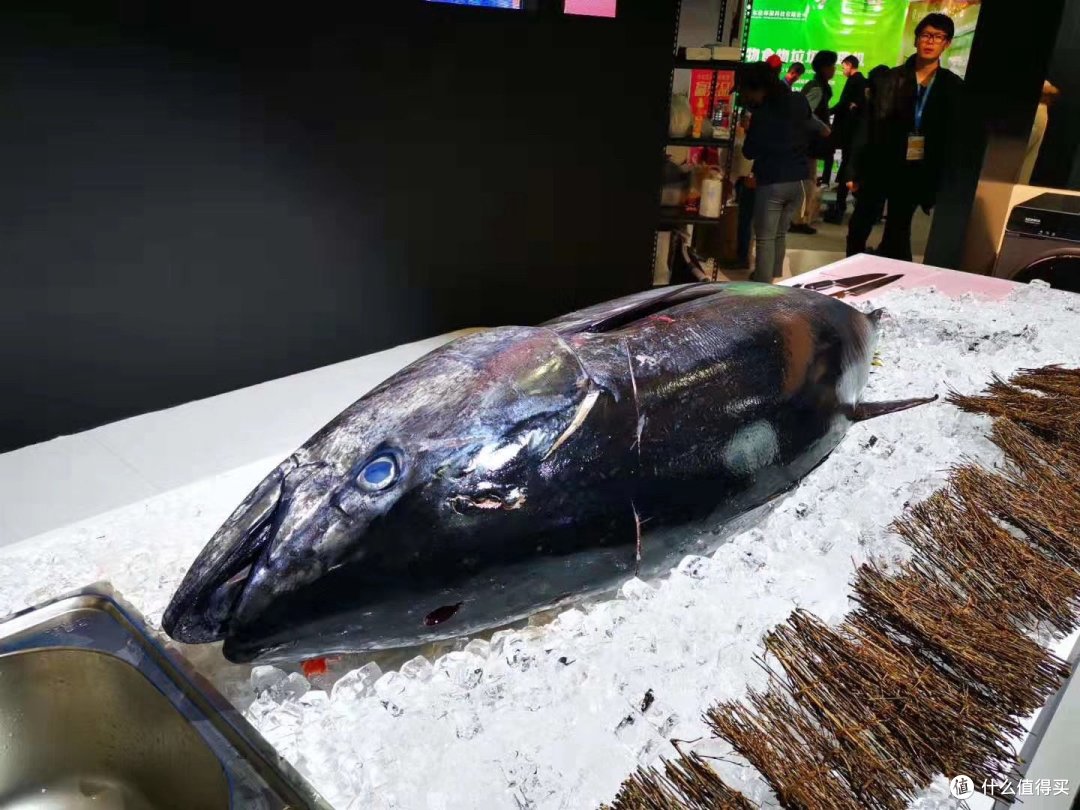 AWE2019:康佳冰洗亮点多 515mm 厚度冰箱小尺寸大容量