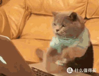 儿童相机评测 | 摄影大师养成记,每个孩子都是好奇的灵魂捕手