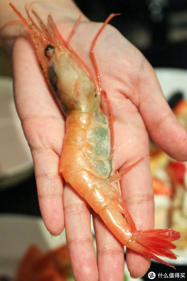 环球港凯悦现烤牛羊排+鹅肝+乳猪+甜虾畅吃！上海环球港凯悦酒店自助餐