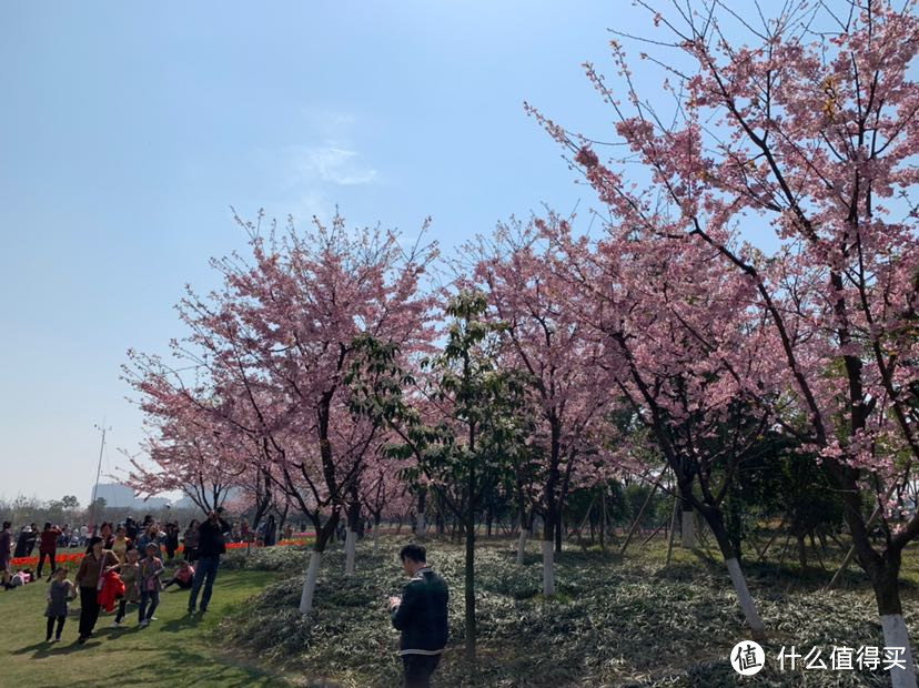 宁波植物园，一个春暖花开时值得去的地方…