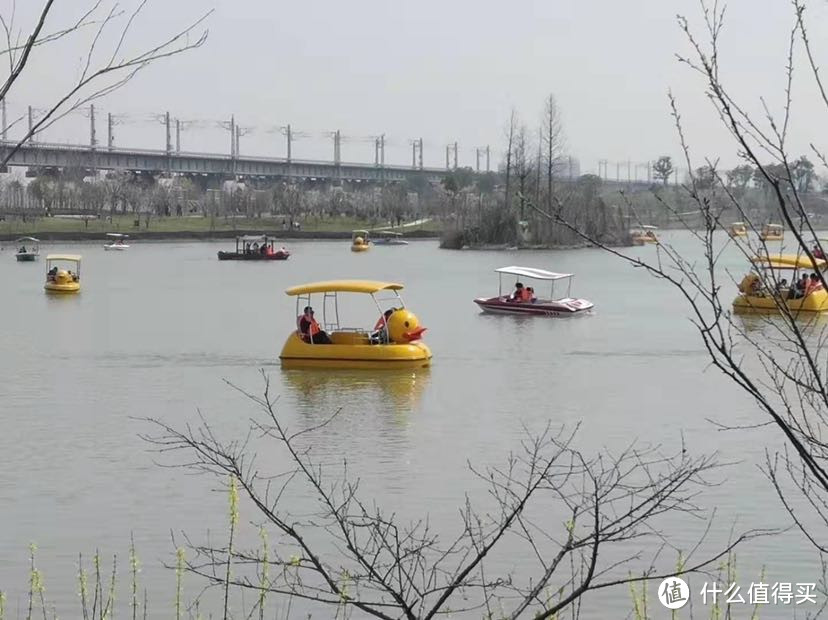 宁波植物园，一个春暖花开时值得去的地方…