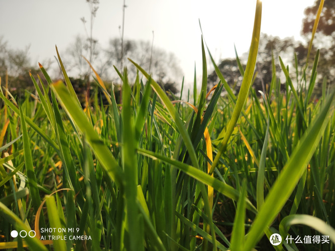 3000元最值得买的手机?小米9使用体验~