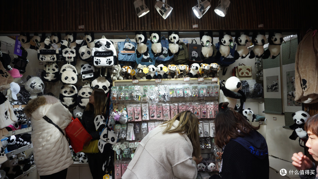 园区内到处都有大大小小的旅游纪念品商店，不过纪念品价格并不便宜