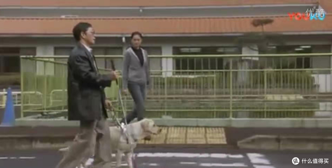 七部讲述人与狗狗感情的电影 每一部都催人泪下