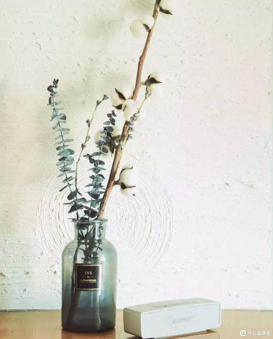 我有个小建议,给喜欢植物却养啥死啥的你!