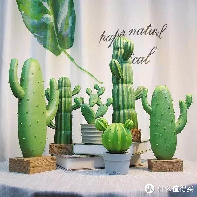 我有个小建议,给喜欢植物却养啥死啥的你!