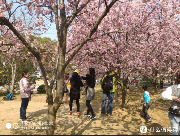 春暖花开，日本很远，无锡很近（下）