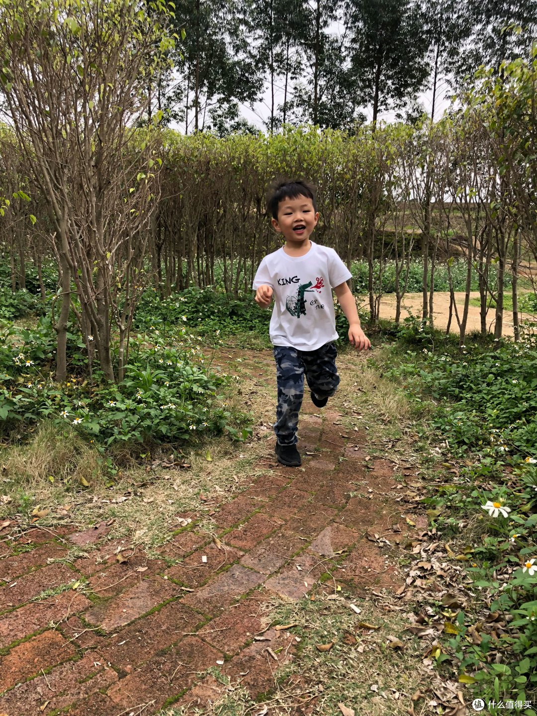 清凉又透气的神器薄荷T恤