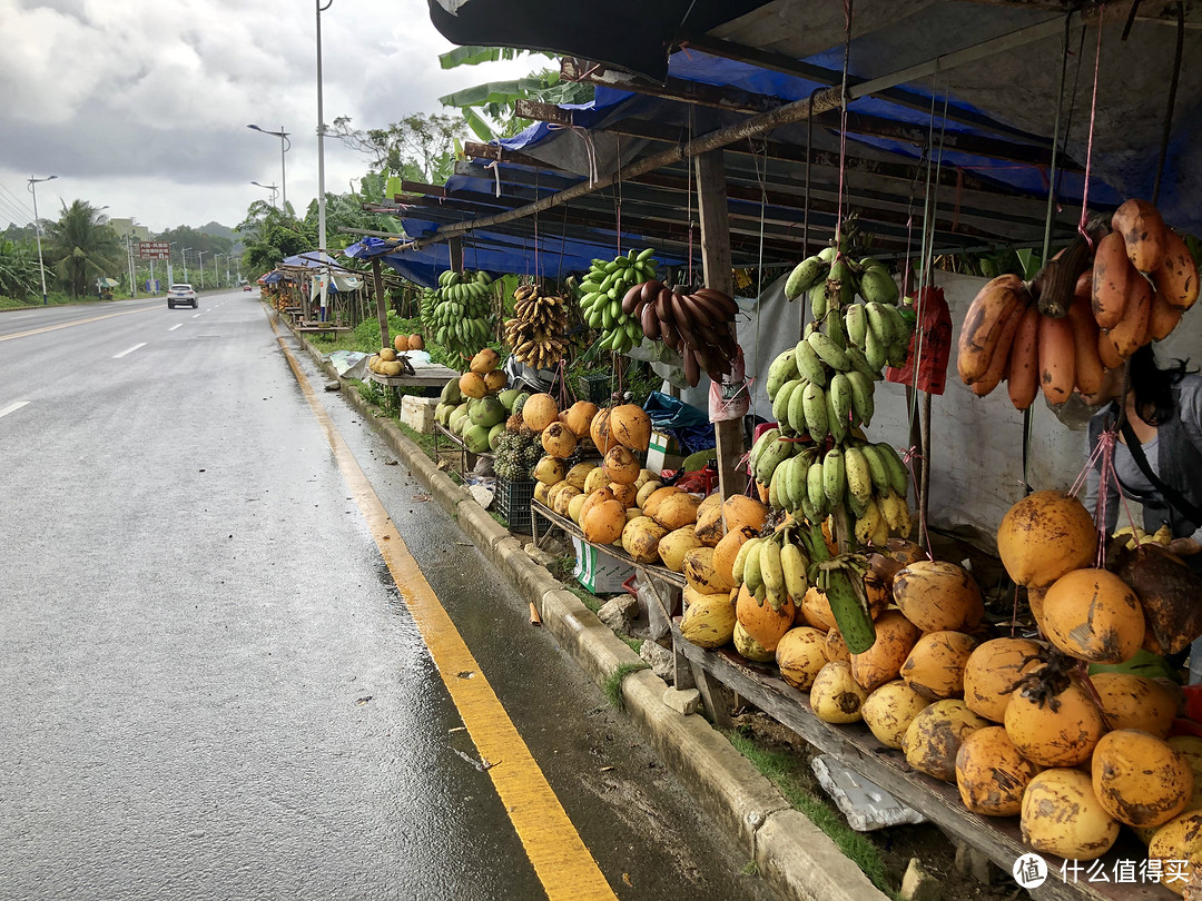 兴隆境内路边都是卖水果的