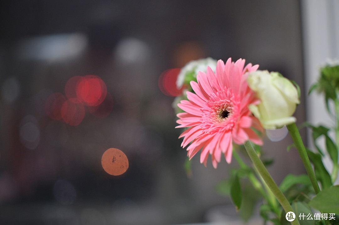 尼康Z卡口的实惠选择——美科50mm F1.7手动镜头体验