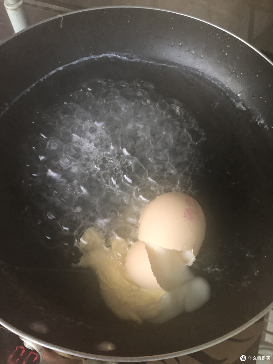 蛋蛋