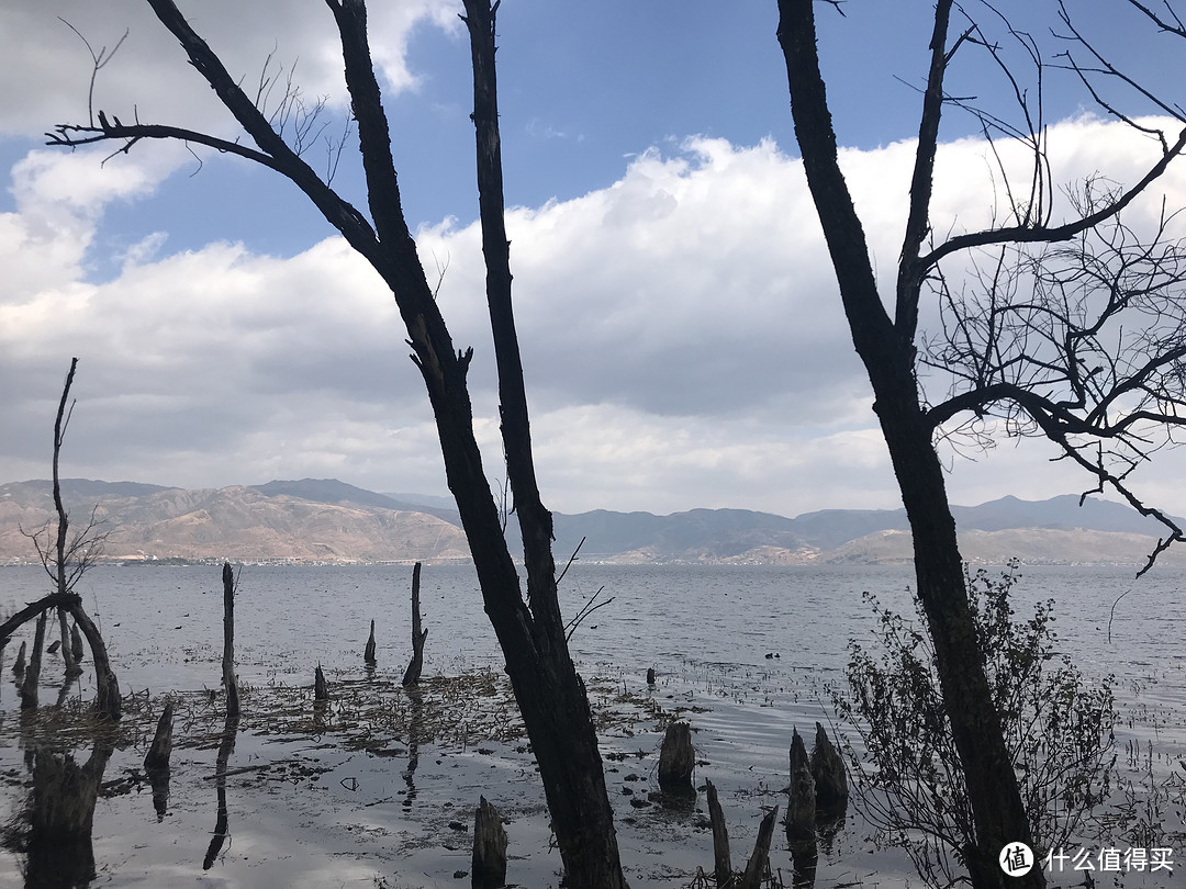 懒人游大理全攻略，含隐藏副本，景色美到让旅游小编转圈圈