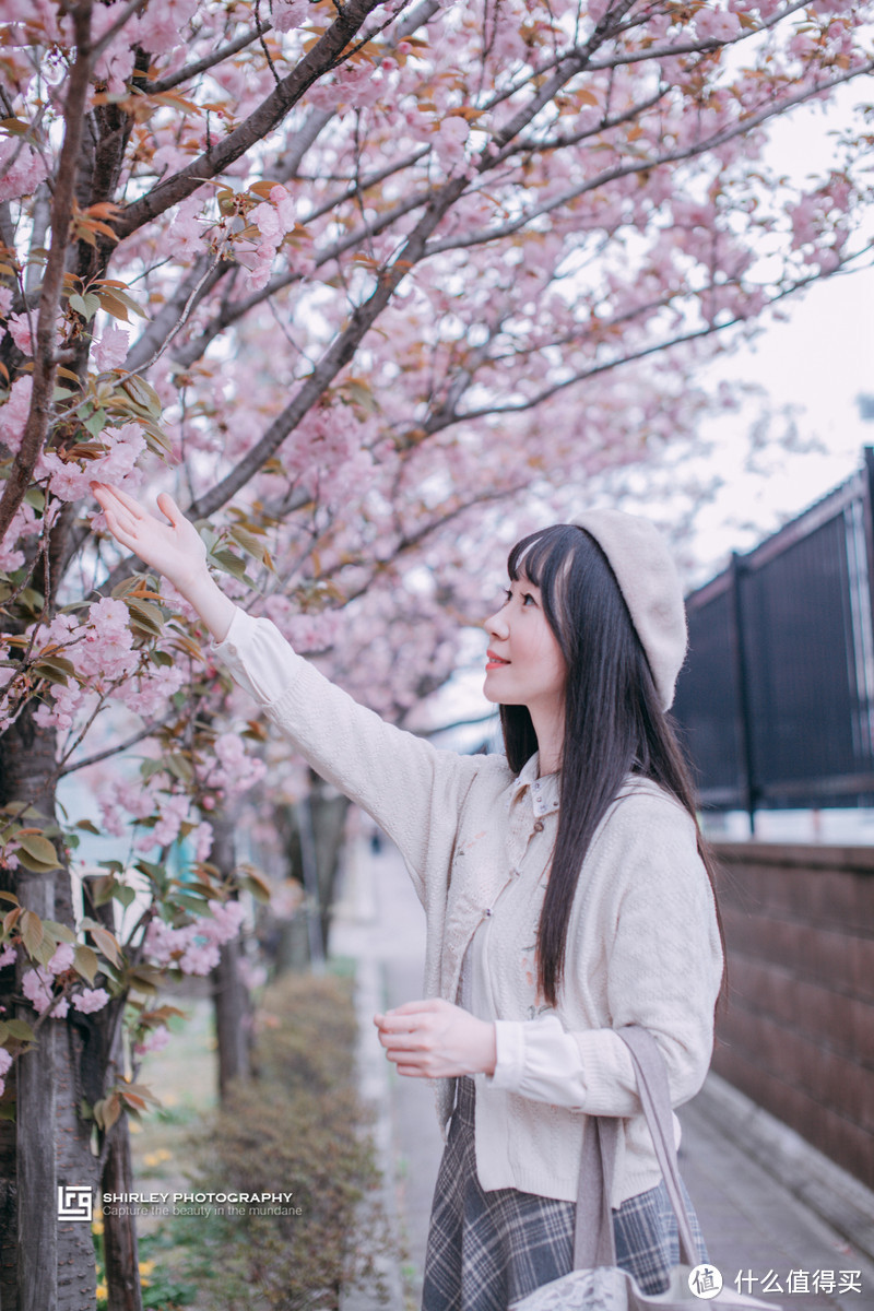 【京都花见】总有樱花在等你，冷门赏樱秘所大公开