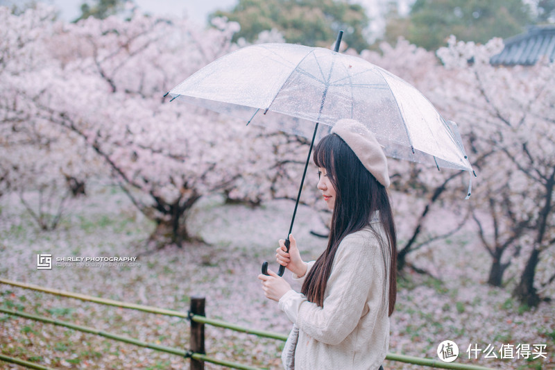 【京都花见】总有樱花在等你，冷门赏樱秘所大公开