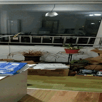 虫虫镜开箱介绍(包装|说明书|镜头|效果|画面)