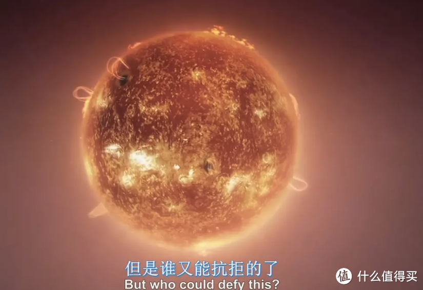 一生必看纪录片系列:涨知识篇——从人体细胞到宇宙边缘