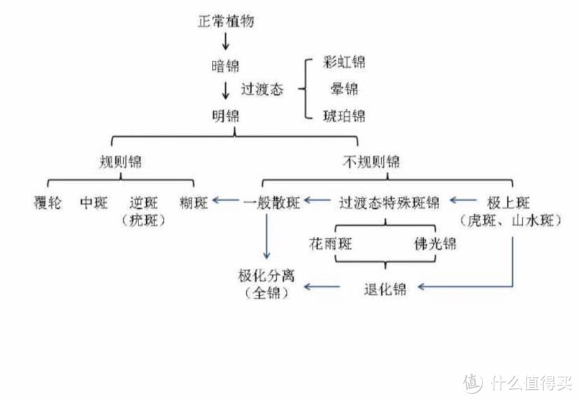 来自仙珍园 岩鸣大师 的指导贴