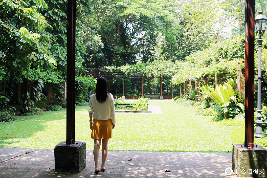 静谧的新加坡植物园