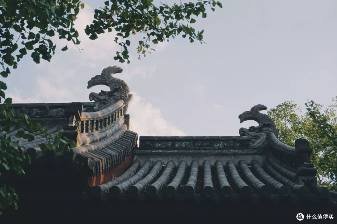 衢州:这个吃三头一掌的小城有毒