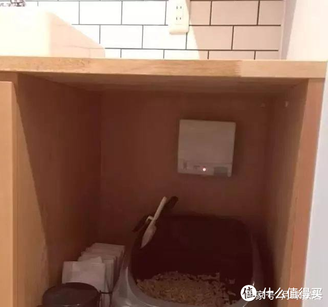 有宠物的人应该怎么装修自己的家?这些国外案例能给你启发!