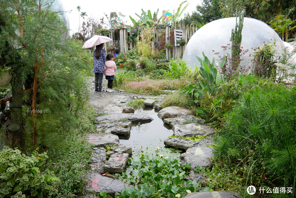 埔里多肉秘境：可爱又疗愈的泡泡屋，还有6米大蓝色地球，埔里IG打卡