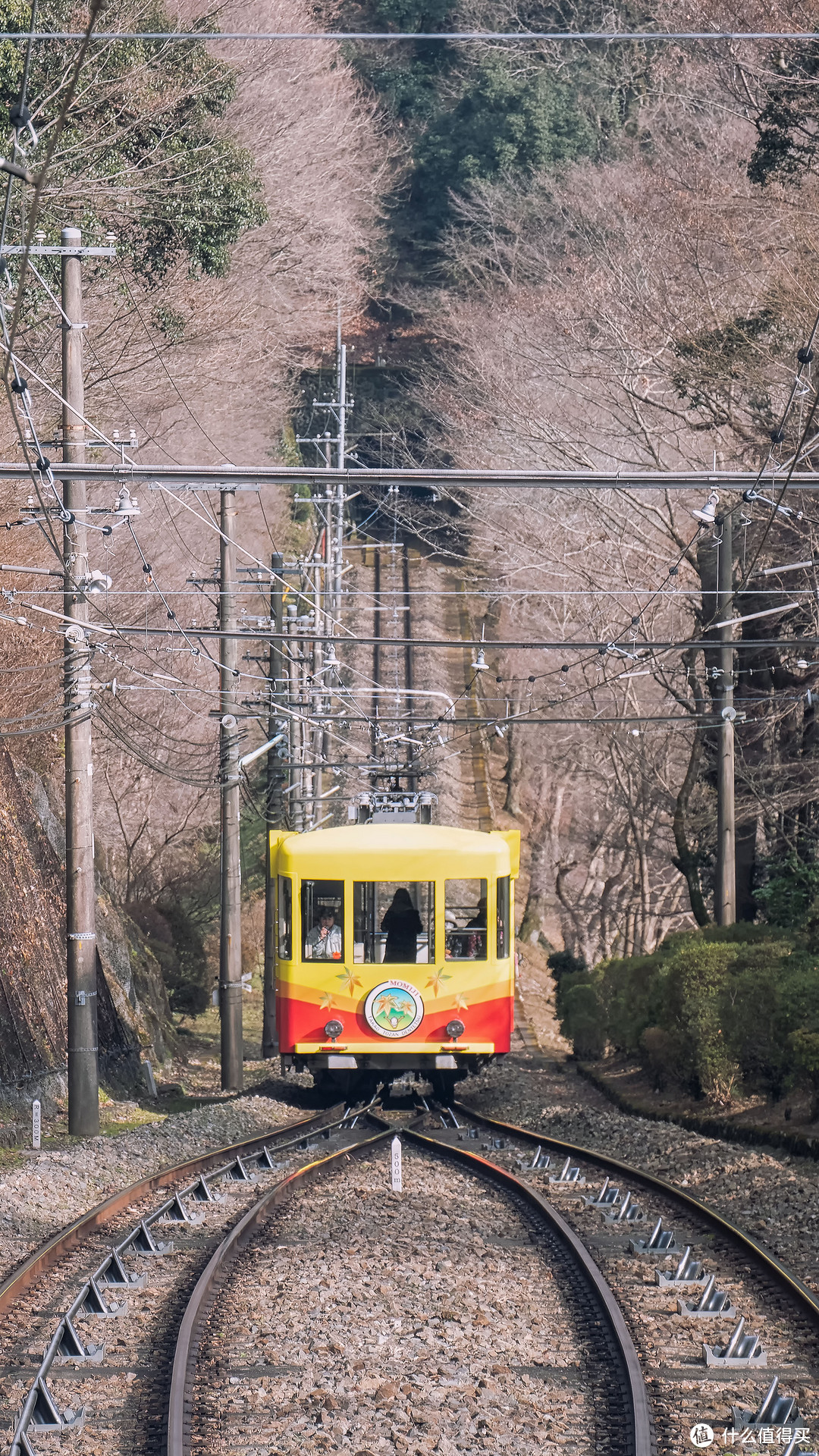 春节东京6日自由行流水账-Day4 高尾山、立川购物与登高拍夜景