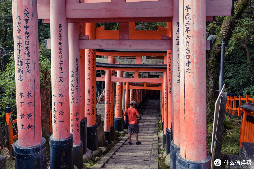 再访京都，稻荷山与花之绘姿