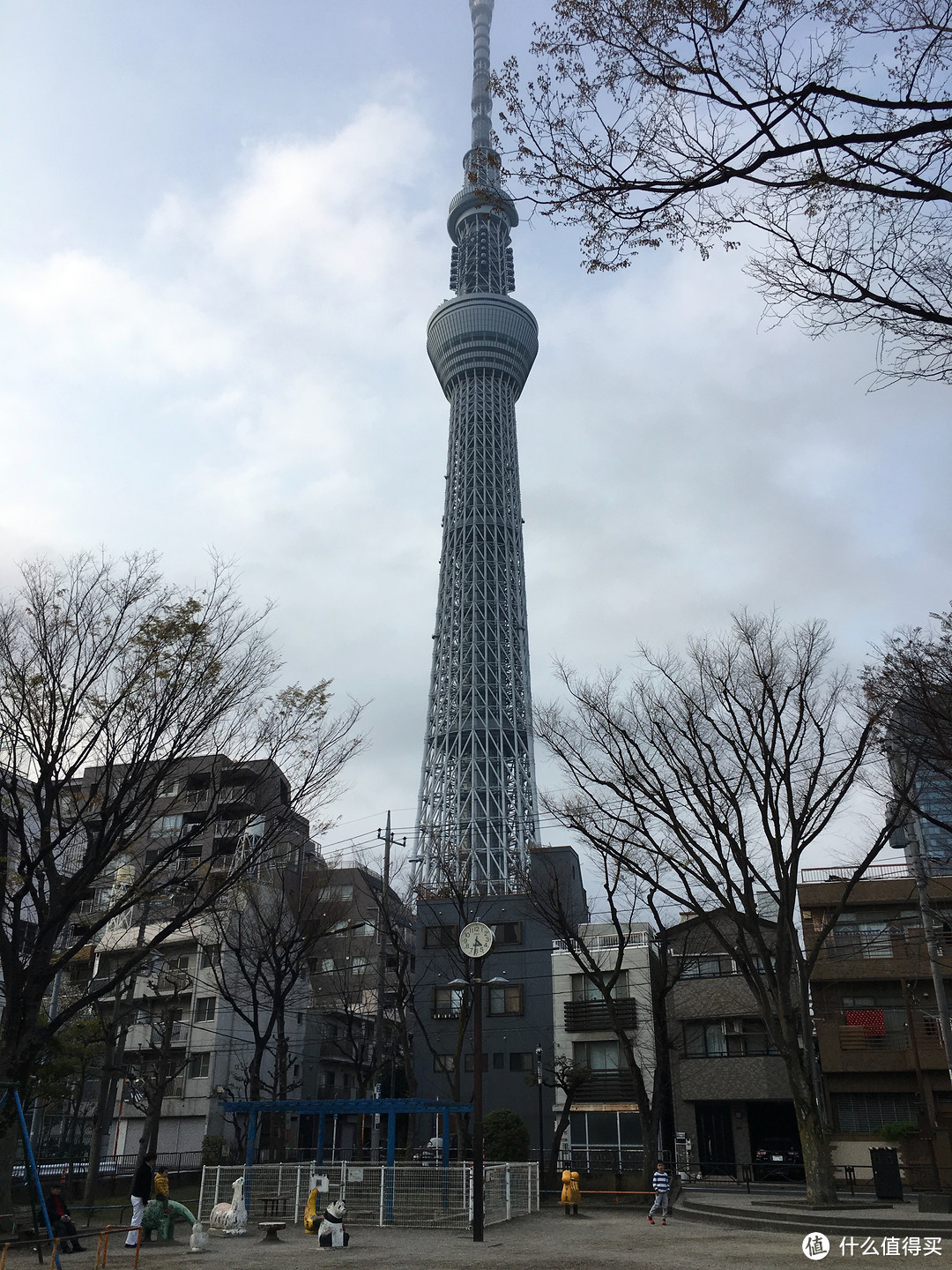 从叶平公园拍的天空树