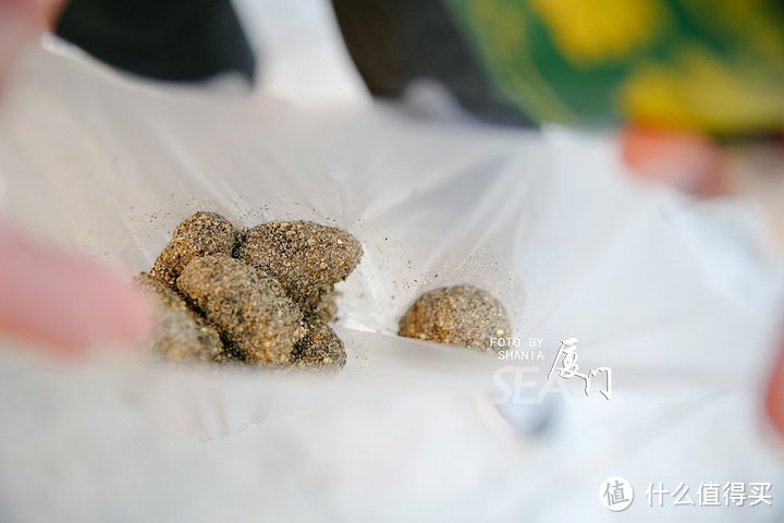 一个外地游客探索厦门的网红美食