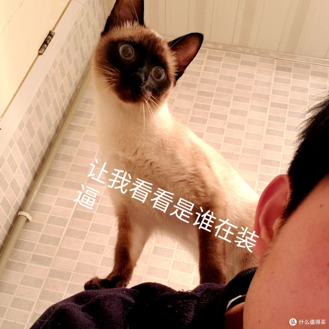 1500块的三星galaxy watch active 真的没卵用？