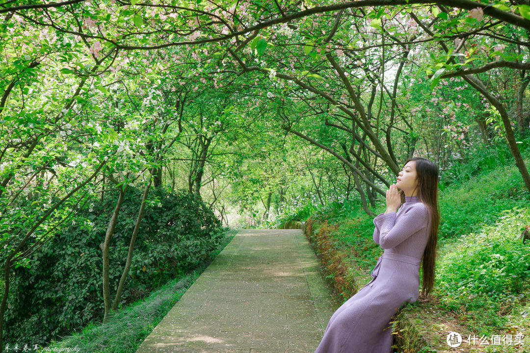 这一季 南山植物园的樱花正为你绽放 这封超详细赏樱攻略请收下