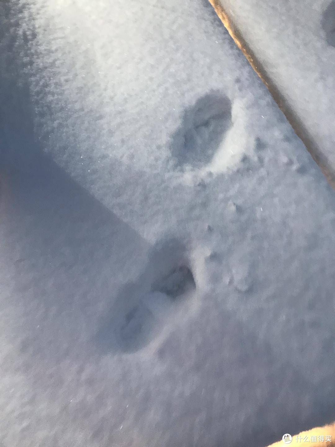 人均2300赶上长白山滑雪季的末班车