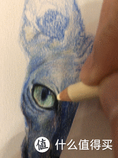 人人都能手绘斯芬克斯猫~绘画吸猫不是梦！