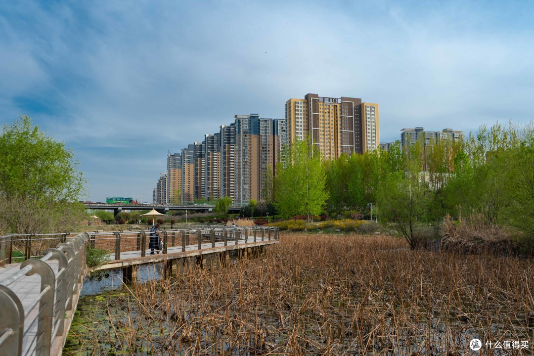 携娃湿地公园随拍