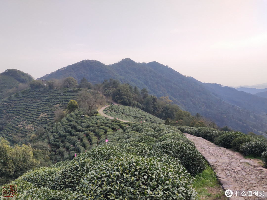 西湖群山美，踏青正当时