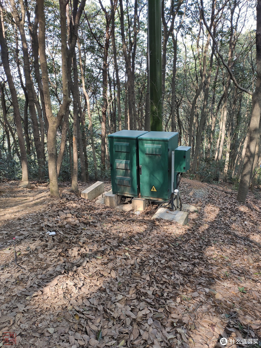 西湖群山美，踏青正当时