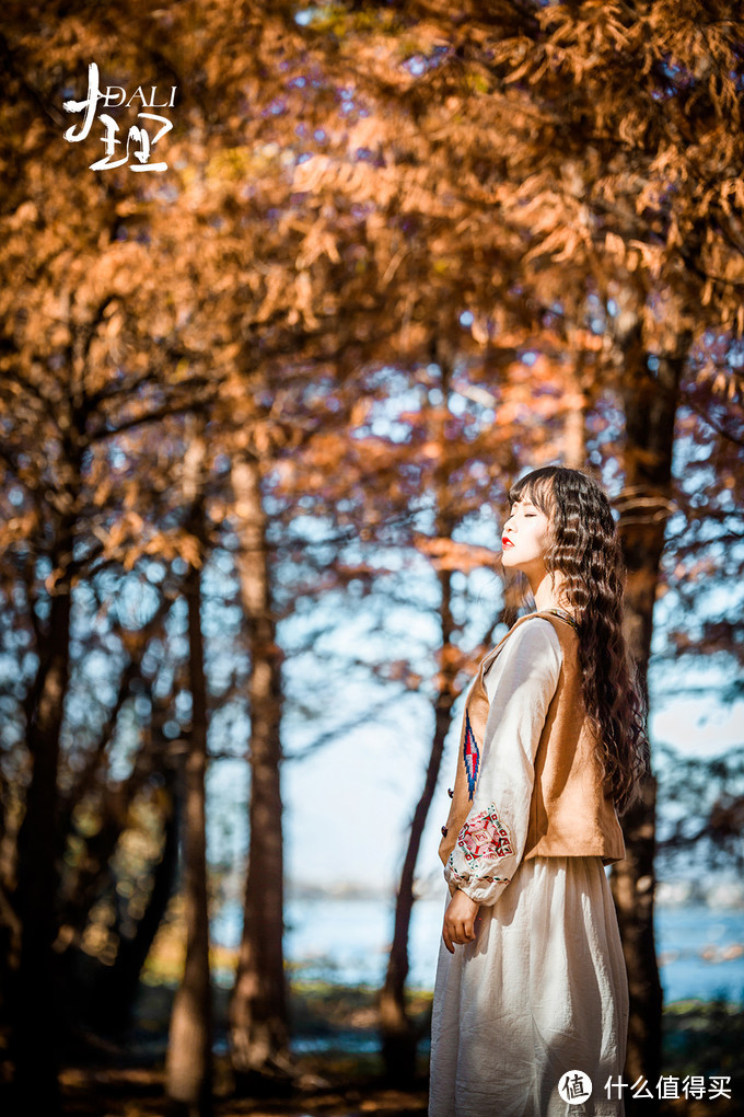 漫步花海间，驻足白雪山丨探秘云南小众旅行地