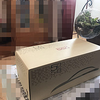 荣威550车模外观细节(车灯|后视镜|引擎盖|驾驶舱|后备箱)