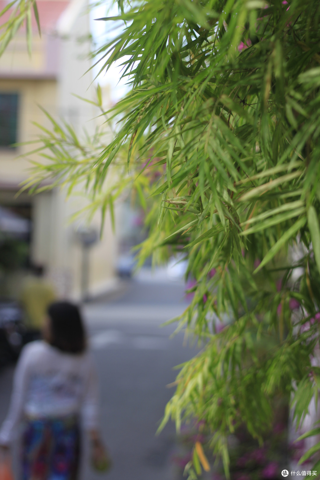 泰国普吉皮皮清迈香港四地16天亲子吃喝玩机酒卡省钱大攻略---准备篇