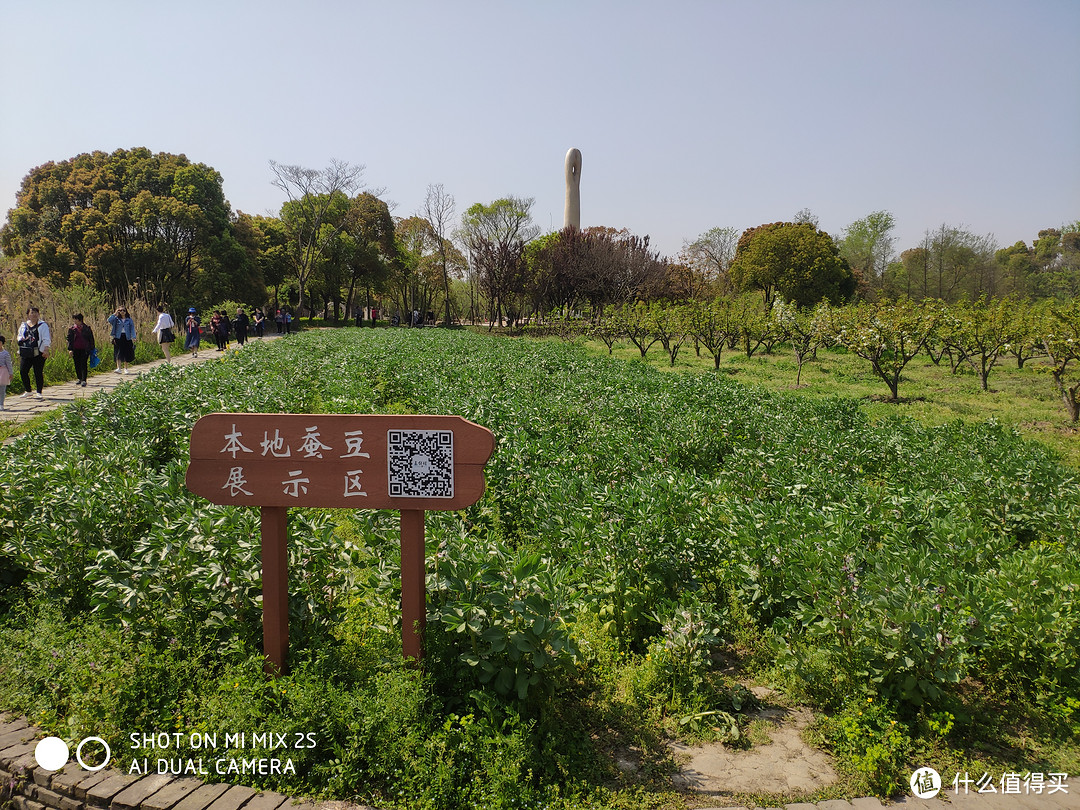 遗址还是公园？——广富林遗址游记