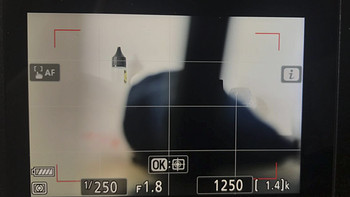 尼康 Z6 全画幅 微单相机 单机身使用总结(屏幕|缺点|电池|画面|拍照)