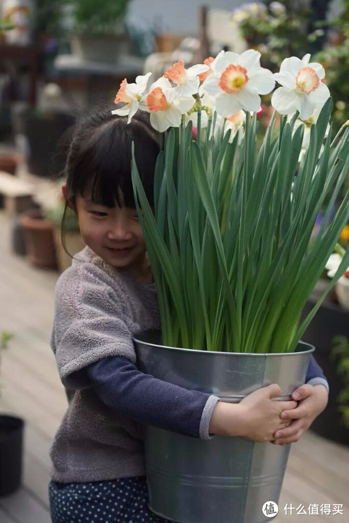 耗时两年！她和5岁女儿一起改造露台，做出南京最美花园！