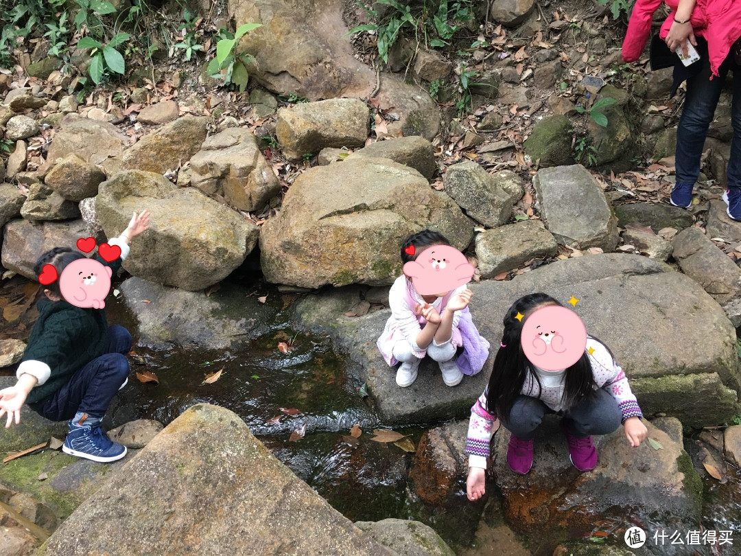 香港大学至太平山顶徒步道——异地闺蜜相聚香港（二）