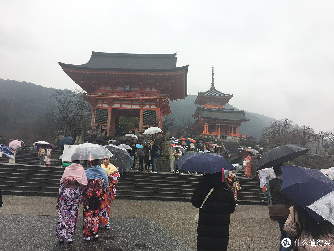 下一站，清水寺，都是伞