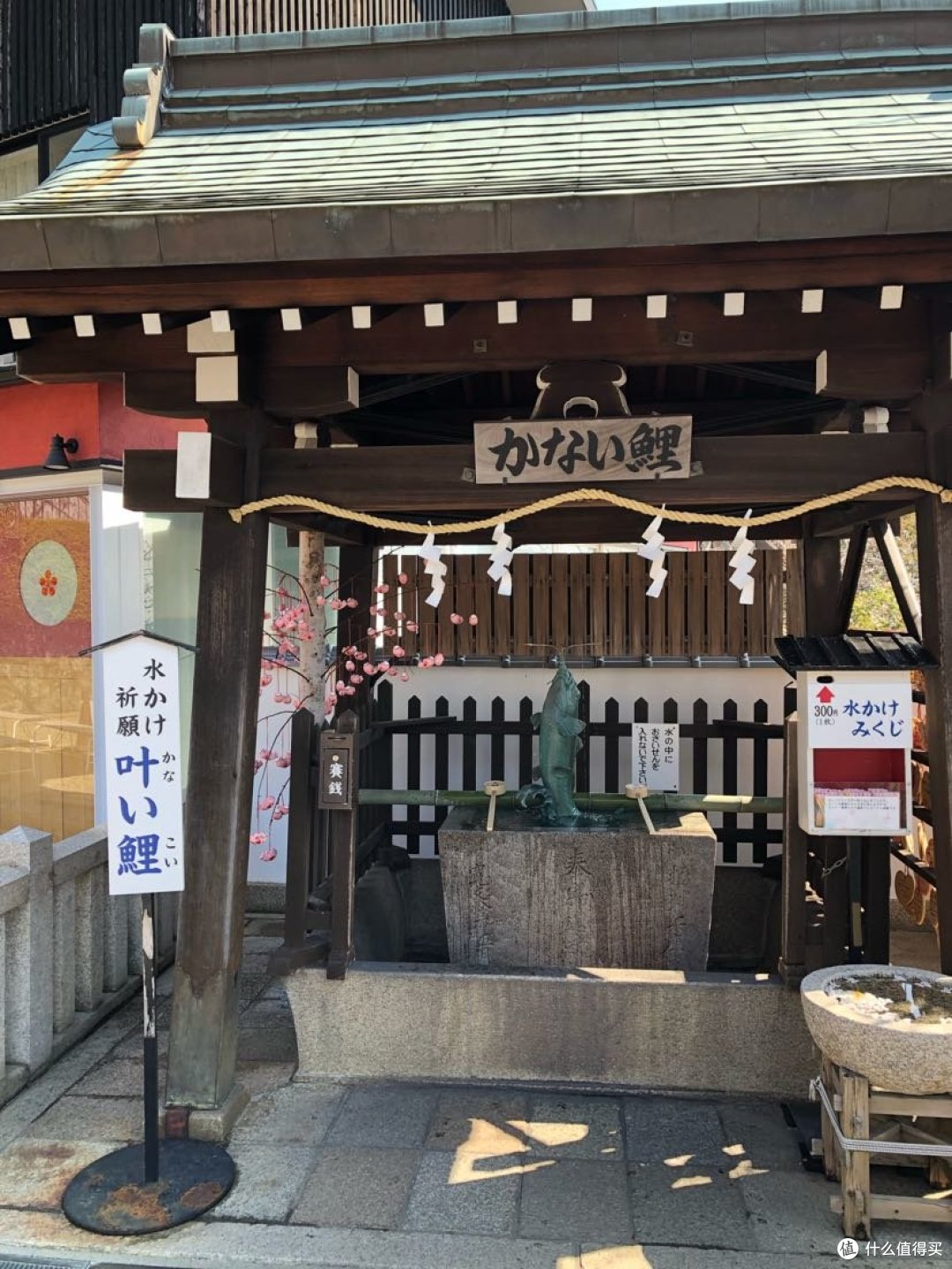 锦鲤!