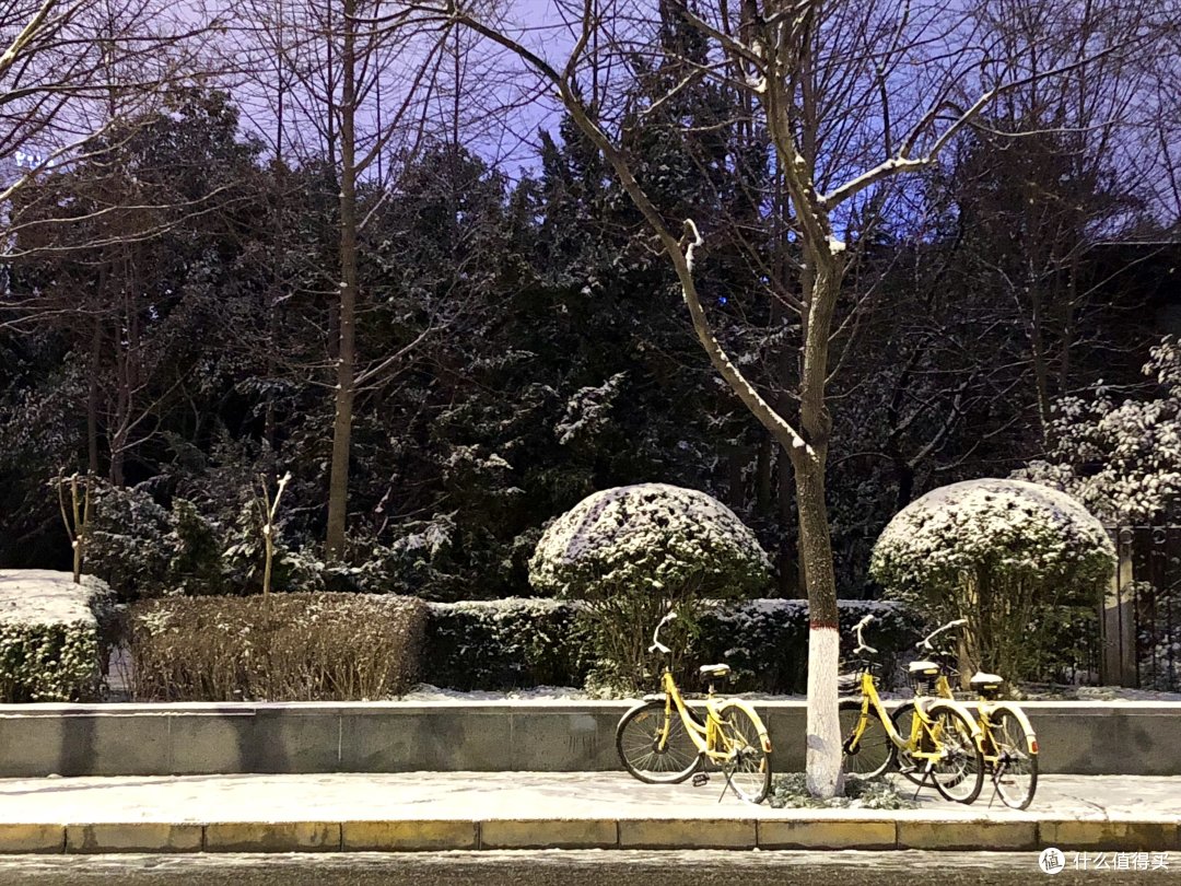 去年冬天某个下雪的晚上，我走出小区，看到马路对面的这个景致。为了突出三辆小黄车，我拉近了手机镜头画面，把多余的另外几辆小黄车和一部分马路路面放到了画面之外。